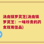 汤南镇罗灵芝(汤南镇罗灵芝：一味珍贵的药食双用佳品)