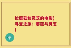 捡蘑菇和灵芝的电影(寻宝之旅：蘑菇与灵芝)