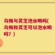 乌梅与灵芝泡水喝吗(乌梅和灵芝可以泡水喝吗？)