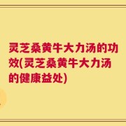 灵芝桑黄牛大力汤的功效(灵芝桑黄牛大力汤的健康益处)