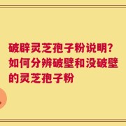 破辟灵芝孢子粉说明？如何分辨破壁和没破壁的灵芝孢子粉