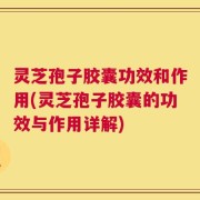 灵芝孢子胶囊功效和作用(灵芝孢子胶囊的功效与作用详解)