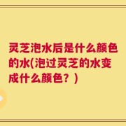 灵芝泡水后是什么颜色的水(泡过灵芝的水变成什么颜色？)