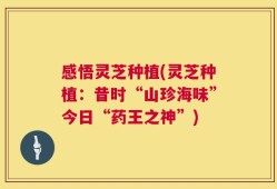 感悟灵芝种植(灵芝种植：昔时“山珍海味”今日“药王之神”)