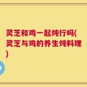 灵芝和鸡一起炖行吗(灵芝与鸡的养生炖料理)