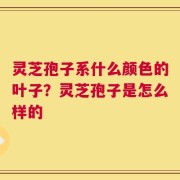 灵芝孢子系什么颜色的叶子？灵芝孢子是怎么样的