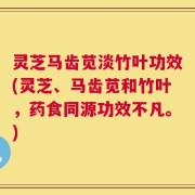 灵芝马齿苋淡竹叶功效(灵芝、马齿苋和竹叶，药食同源功效不凡。)