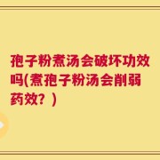 孢子粉煮汤会破坏功效吗(煮孢子粉汤会削弱药效？)