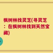 枫树林找灵芝(寻灵芝：在枫树林找到天然宝藏)