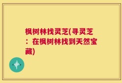 枫树林找灵芝(寻灵芝：在枫树林找到天然宝藏)