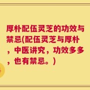 厚朴配伍灵芝的功效与禁忌(配伍灵芝与厚朴，中医讲究，功效多多，也有禁忌。)