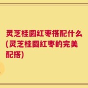 灵芝桂圆红枣搭配什么(灵芝桂圆红枣的完美配搭)