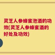 灵芝人参蜂蜜泡酒的功效(灵芝人参蜂蜜酒的好处及功效)