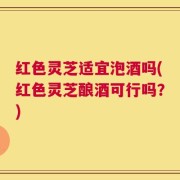 红色灵芝适宜泡酒吗(红色灵芝酿酒可行吗？)