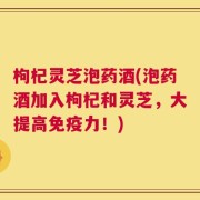 枸杞灵芝泡药酒(泡药酒加入枸杞和灵芝，大提高免疫力！)