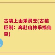 古装上山采灵芝(古装巨制：奔赴山林采摘仙草)