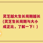 灵芝越大生长周期越长(灵芝生长周期与大小成正比，了解一下！)