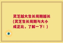 灵芝越大生长周期越长(灵芝生长周期与大小成正比，了解一下！)
