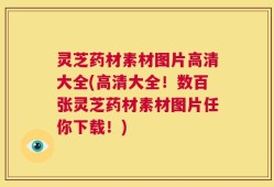 灵芝药材素材图片高清大全(高清大全！数百张灵芝药材素材图片任你下载！)