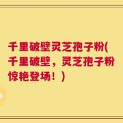千里破壁灵芝孢子粉(千里破壁，灵芝孢子粉惊艳登场！)