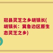 冠县灵芝之乡胡镇长(胡镇长：冀鲁边区原生态灵芝之乡)