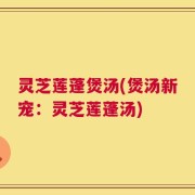 灵芝莲蓬煲汤(煲汤新宠：灵芝莲蓬汤)