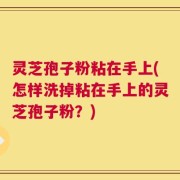 灵芝孢子粉粘在手上(怎样洗掉粘在手上的灵芝孢子粉？)