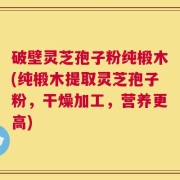 破壁灵芝孢子粉纯椴木(纯椴木提取灵芝孢子粉，干燥加工，营养更高)