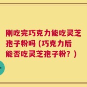 刚吃完巧克力能吃灵芝孢子粉吗 (巧克力后能否吃灵芝孢子粉？)