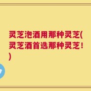 灵芝泡酒用那种灵芝(灵芝酒首选那种灵芝！)