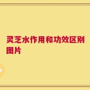 灵芝水作用和功效区别图片