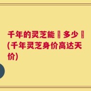 千年的灵芝能賗多少鍃(千年灵芝身价高达天价)