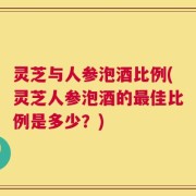 灵芝与人参泡酒比例(灵芝人参泡酒的最佳比例是多少？)