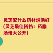 灵芝配什么药材炖汤好(灵芝最佳搭档！药膳汤谱大公开)