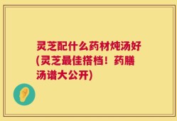 灵芝配什么药材炖汤好(灵芝最佳搭档！药膳汤谱大公开)