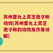 苏州雷允上灵芝孢子粉功效(苏州雷允上灵芝孢子粉的功效及作用详解)