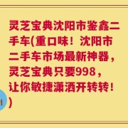 灵芝宝典沈阳市鉴鑫二手车(重口味！沈阳市二手车市场最新神器，灵芝宝典只要998，让你敏捷潇洒开转转！)