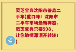 灵芝宝典沈阳市鉴鑫二手车(重口味！沈阳市二手车市场最新神器，灵芝宝典只要998，让你敏捷潇洒开转转！)
