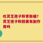 吃灵芝孢子粉胃胀痛？灵芝孢子粉胶囊有副作用吗
