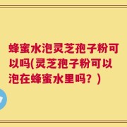 蜂蜜水泡灵芝孢子粉可以吗(灵芝孢子粉可以泡在蜂蜜水里吗？)
