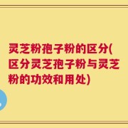 灵芝粉孢子粉的区分(区分灵芝孢子粉与灵芝粉的功效和用处)