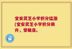 宝安灵芝小学积分猛涨(宝安灵芝小学积分飙升，受瞩目。
