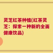 灵芝红茶种植(红茶灵芝：探索一种新的全面健康饮品)
