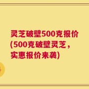 灵芝破壁500克报价(500克破壁灵芝，实惠报价来袭)