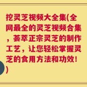 挖灵芝视频大全集(全网最全的灵芝视频合集，荟萃正宗灵芝的制作工艺，让您轻松掌握灵芝的食用方法和功效！)