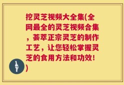 挖灵芝视频大全集(全网最全的灵芝视频合集，荟萃正宗灵芝的制作工艺，让您轻松掌握灵芝的食用方法和功效！)