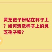 灵芝孢子粉粘在杯子上？如何清洗杯子上的灵芝孢子粉？