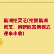 巢湖挖灵芝(挖掘巢湖灵芝：创新致富新模式迎来丰收)