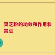 灵芝粉的功效和作用和禁忌