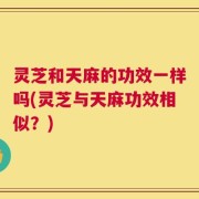 灵芝和天麻的功效一样吗(灵芝与天麻功效相似？)